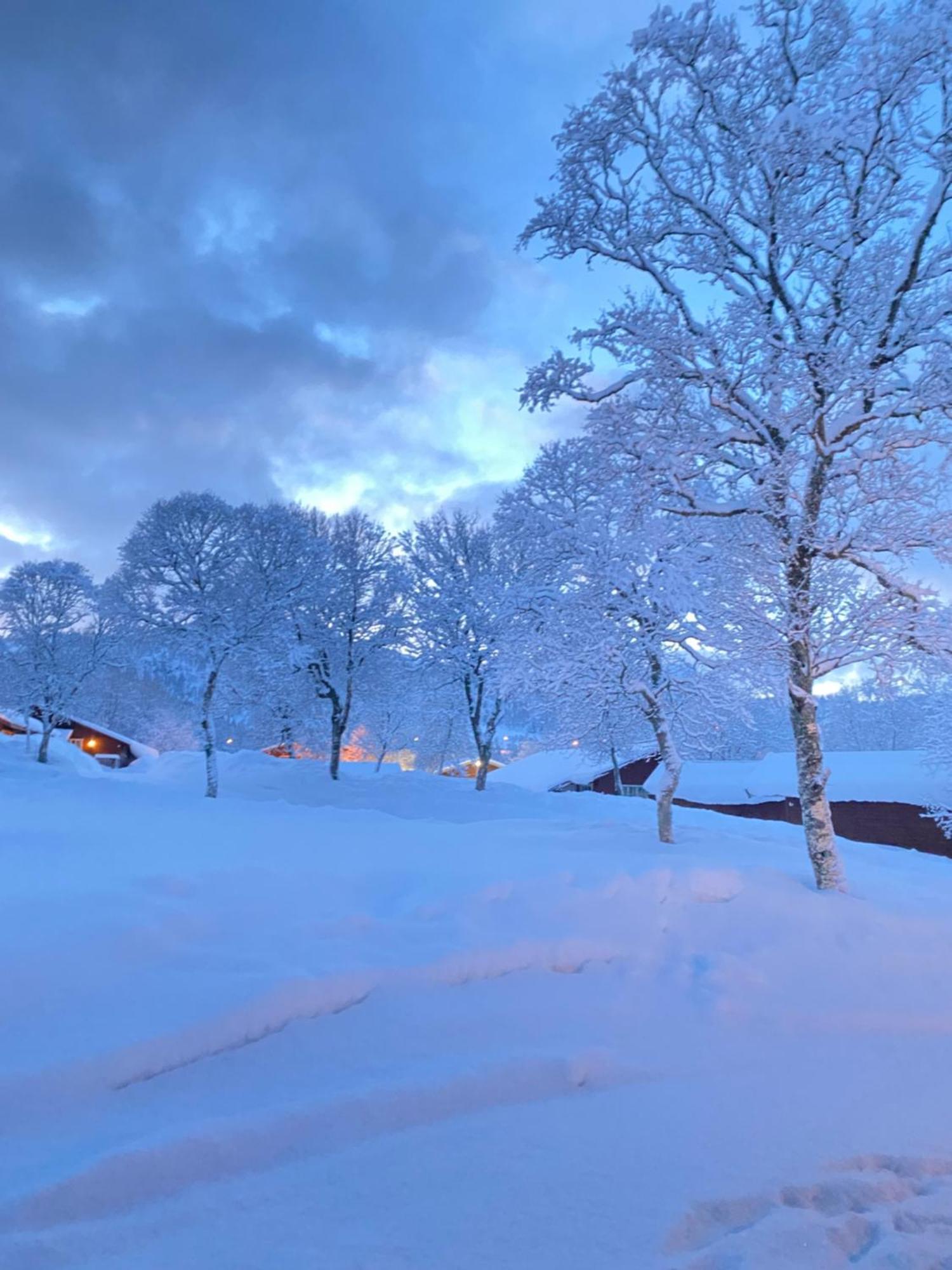 Sortland Camping Og Motell As Exterior photo
